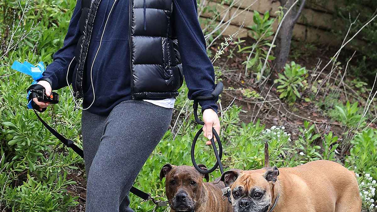 Pregnant Jessica Biel