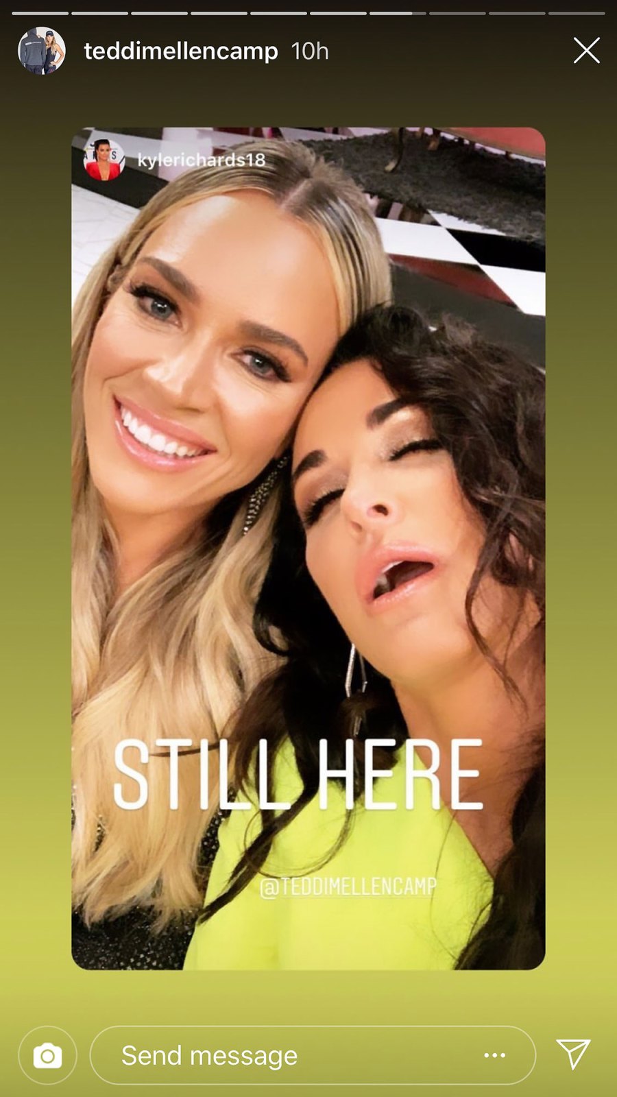 Inside Reunion RHOB Teddi Mellencamp Arroyave and Kyle Richards