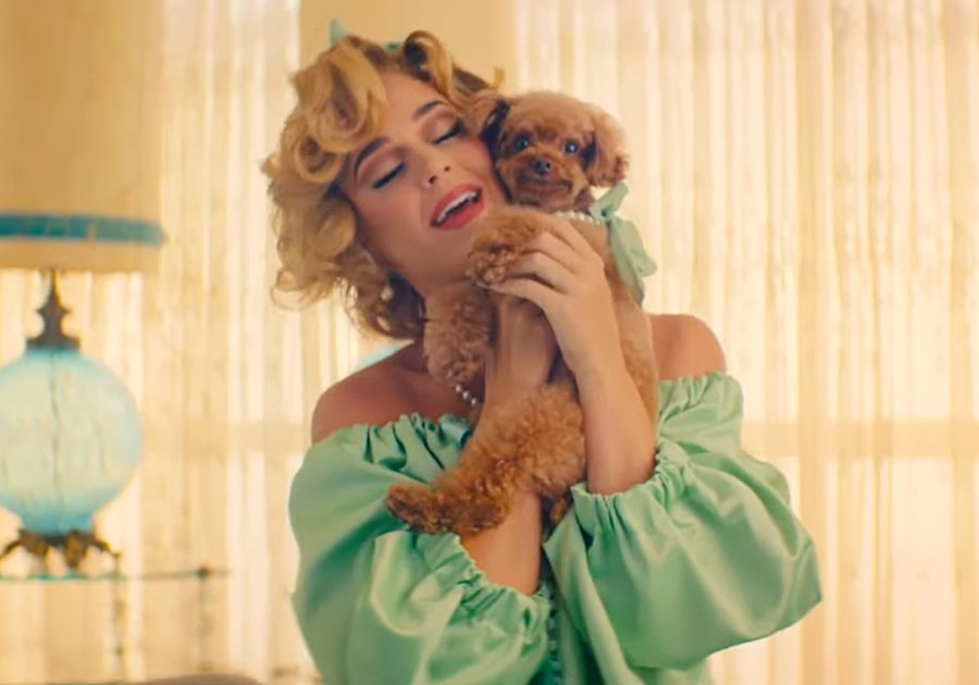 Katy-Perry-Nugget