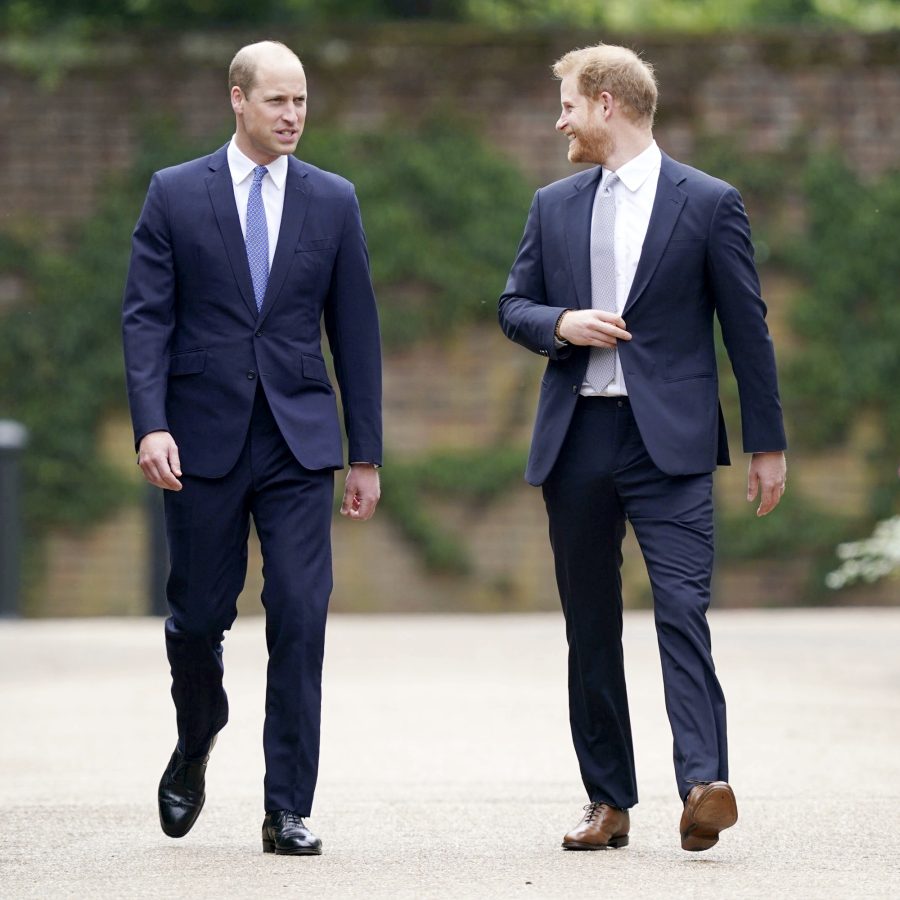 Prince William Prince Harry All Must-See Photos Princess Diana Statue Unveiling Event