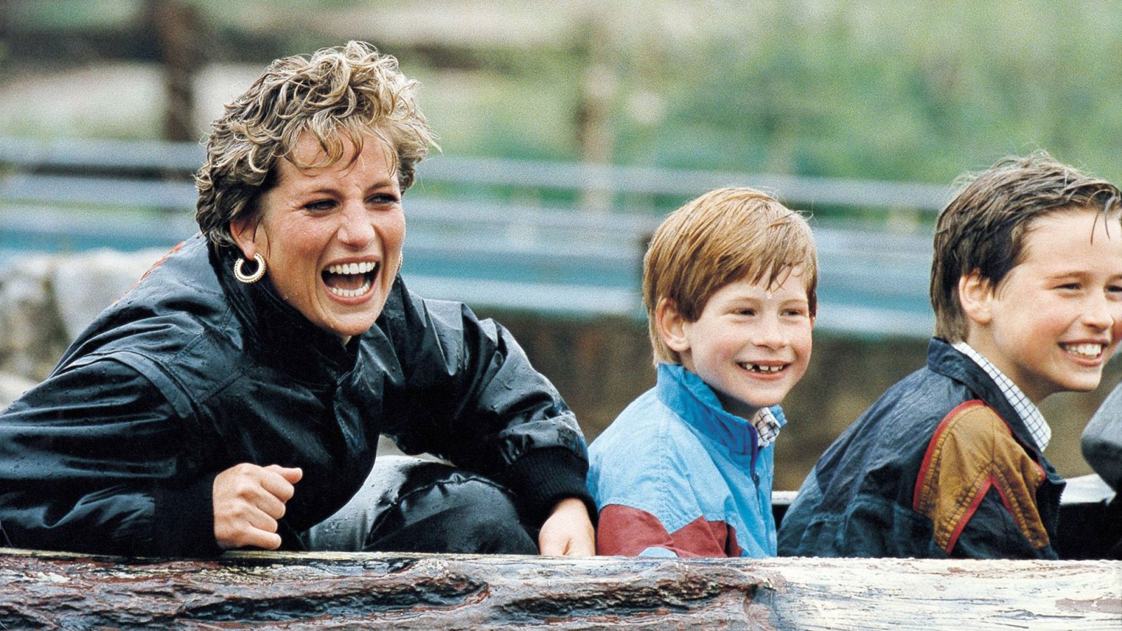 Princess Diana’s Will Revealed: See What She Left Princes William and Harry