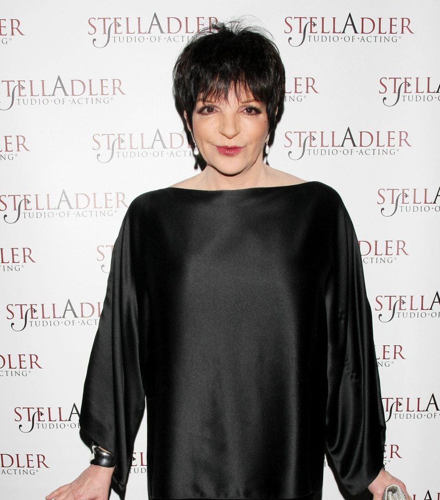 Celebrities-Who-Have-Been-Married-Three-Times-or-More-Liza-Minelli.