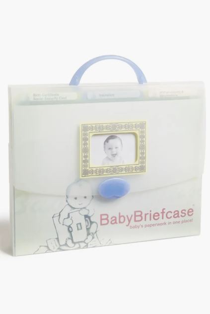 babybriefcase document organizer
