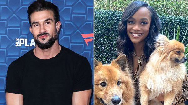 Bryan Abasolo Walks Rachel Lindsay’s Dogs After Claiming Living Arrangement Is ‘Strained’