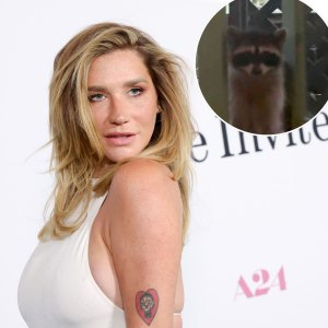 Kesha Loses Fight to Big Feral Raccoon Intruder Refusing to Leave Her Home: ‘Move In’