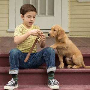 Bryce Gheisar in A Dog's Purpose