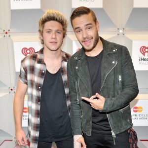 GettyImages-455844664-Niall-Horan-Plays-Liam-Payne-Voice-at-Concert.jpg