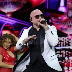 Pitbull-GettyImages-2273195283