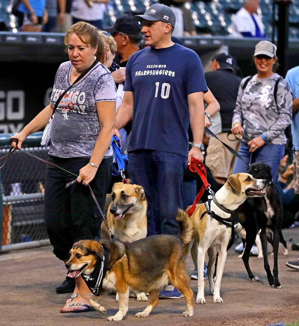 Chicago White Sox Dogs