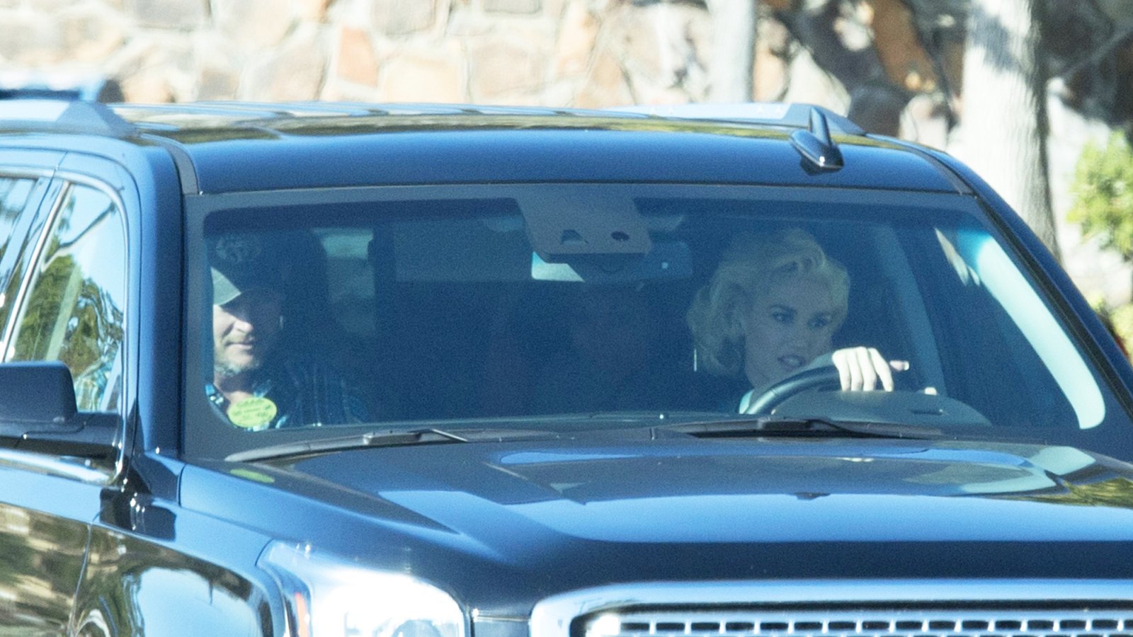 Gwen Stefani and Blake Shelton