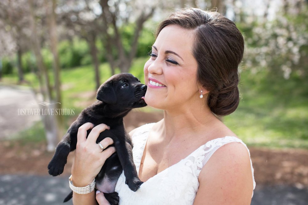 bride puppy