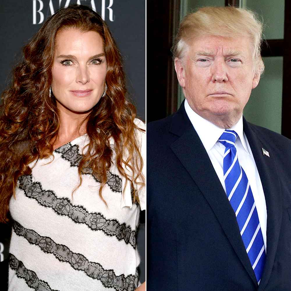 Brooke Shields and Donald Trump