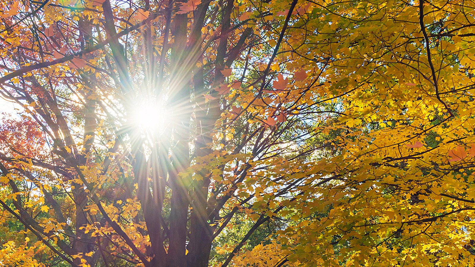 autumn fall daylight savings time