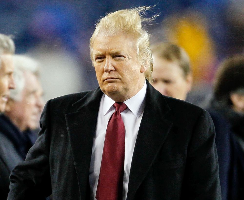Donald Trump hair 2010