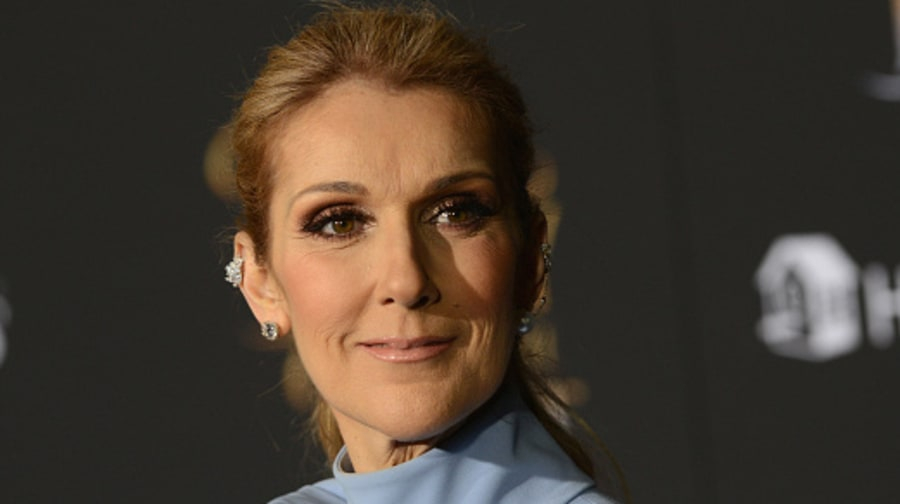 Celine Dion: It's 'Too Soon' to Think About Dating