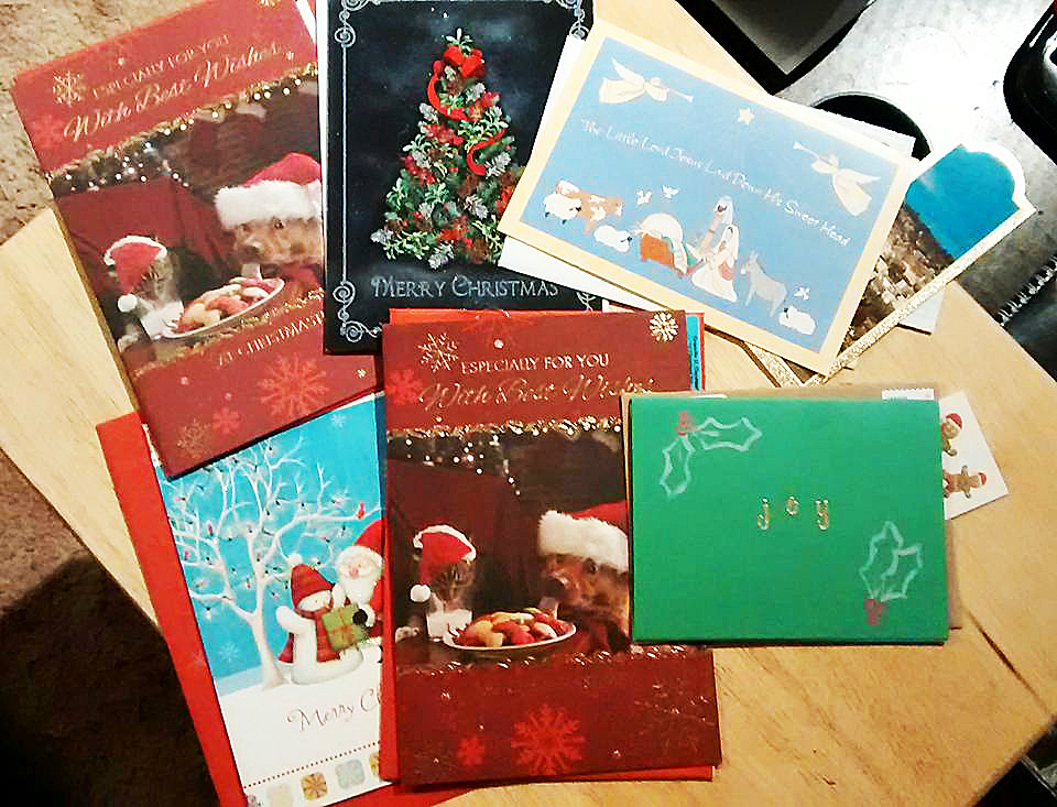 Hailey Rodenhiser Christmas cards