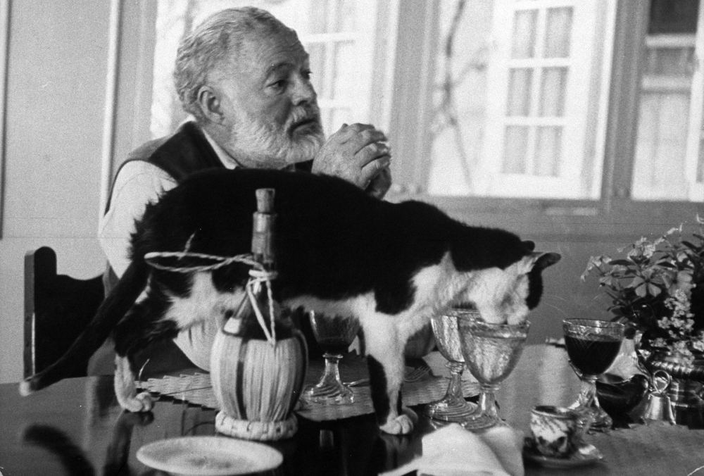 Ernest Hemingway sitting at table with his cat circa 1960.