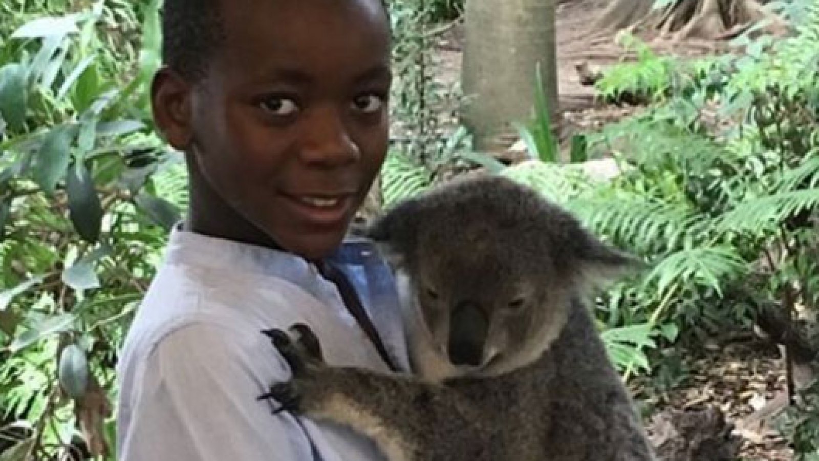 Madonna's son David cuddles a koala in Australia