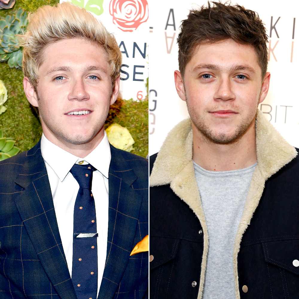 Niall Horan on May 29, 2016; Nial Horan attends Larry Kings first UK salon opening supported by Copper Dog Whisky on January 25, 2017 in London, England.
