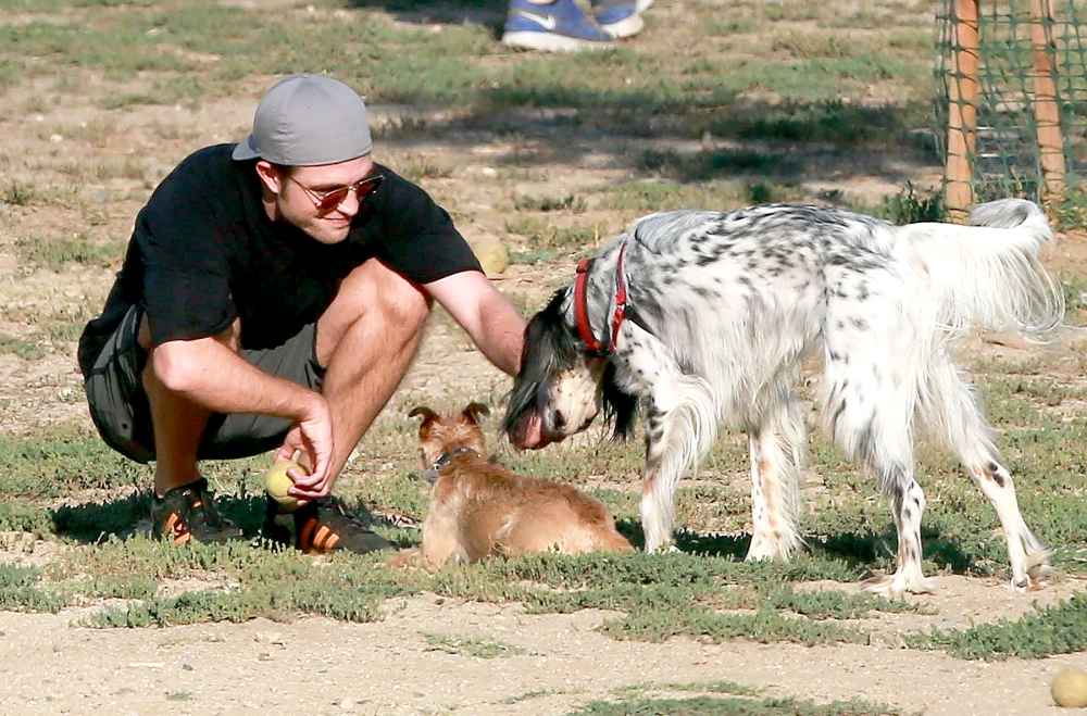 Robert Pattinson is spotted with his fiancee, FKA Twigs' dog, on a fun afternoon at the dog park on July 8, 2017.