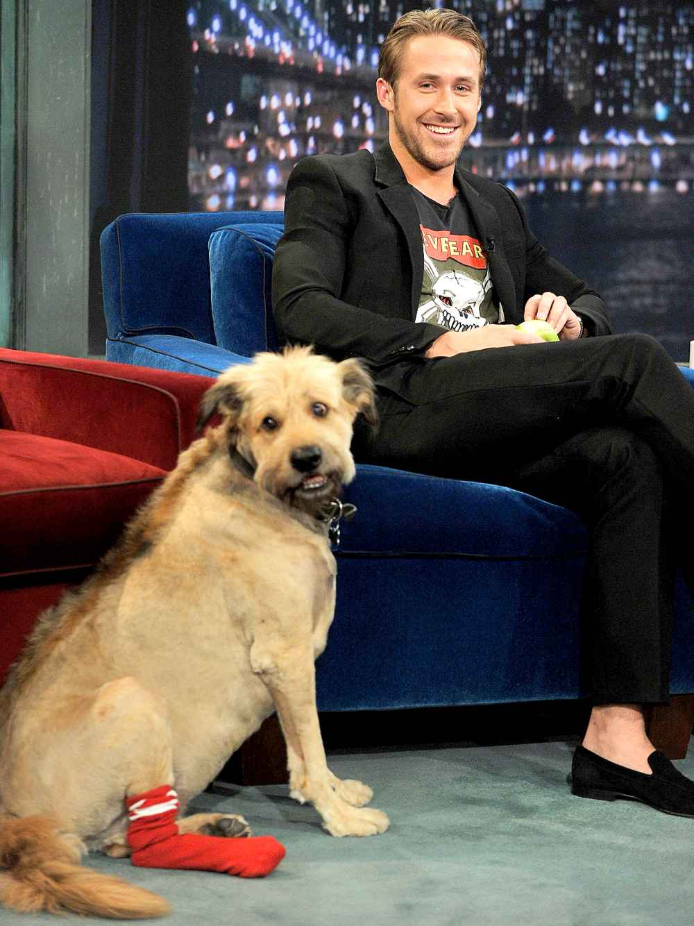 Ryan Gosling along with his dog George visits "Late Night With Jimmy Fallon" at Rockefeller Center on July 20, 2011 in New York City.