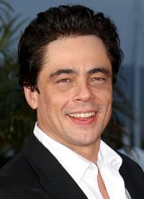 1250530151_benicio_del_toro_290x402