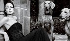 1262961640_angelina jolie 84