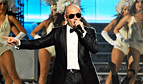 1308085923_pitbull 84