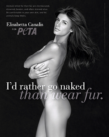 1315596504_elisabetta canalis peta 441