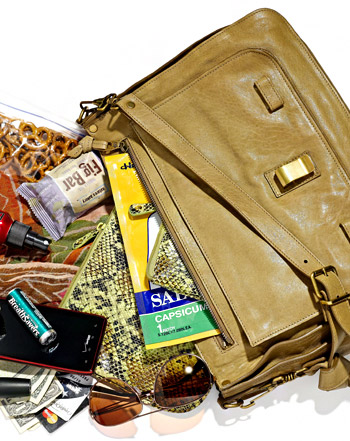 1338397180_angie harmon bag 441