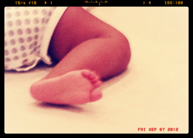 1357337091_blue ivy foot 640