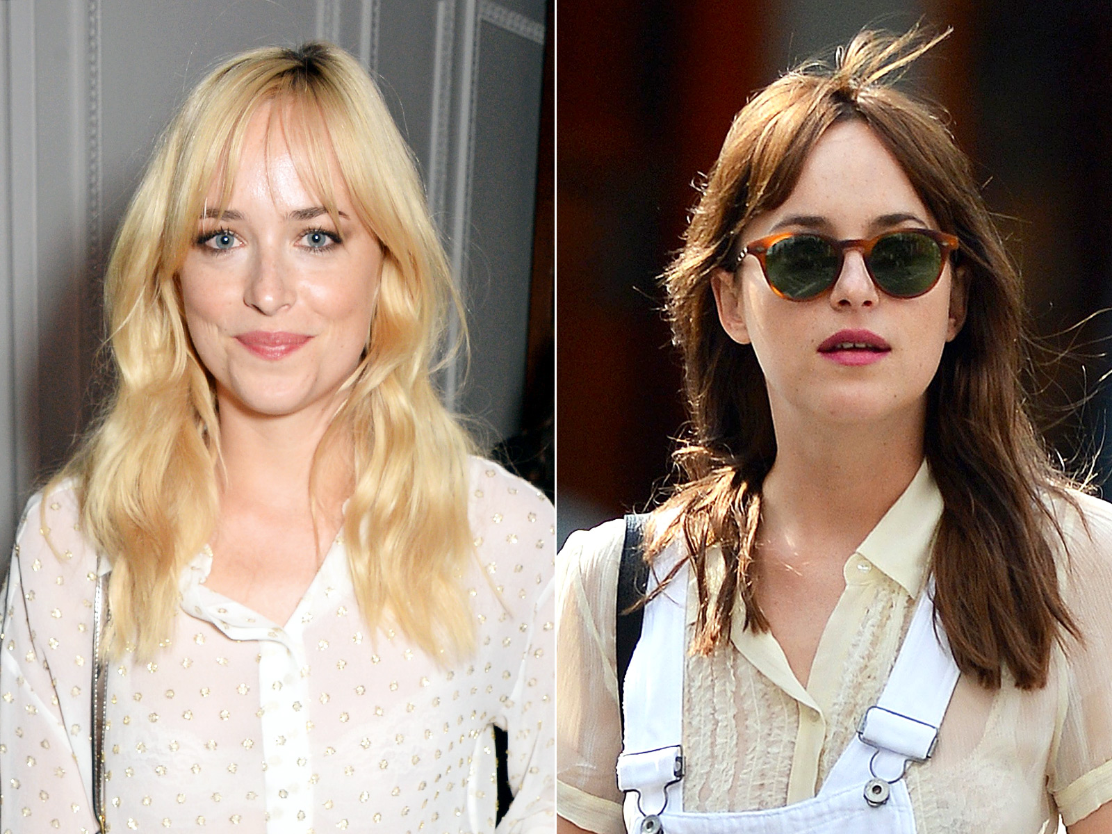 Dakota Johnson Is Back to 50 Shades of Grey Brown Hair Color: Pictures
