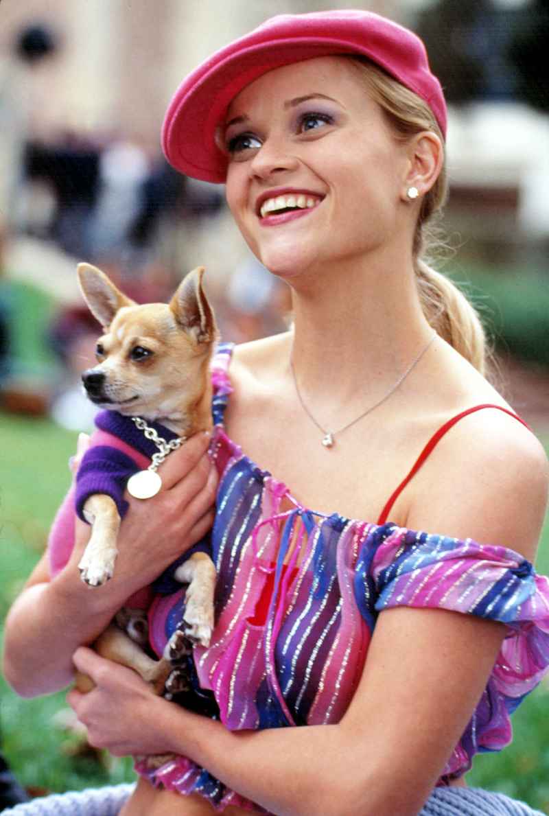 1424375271_reese witherspoon legally blonde zoom