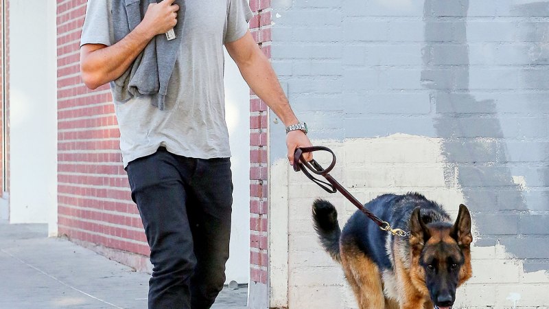 Hot Hollywood Hunks Walking Dogs