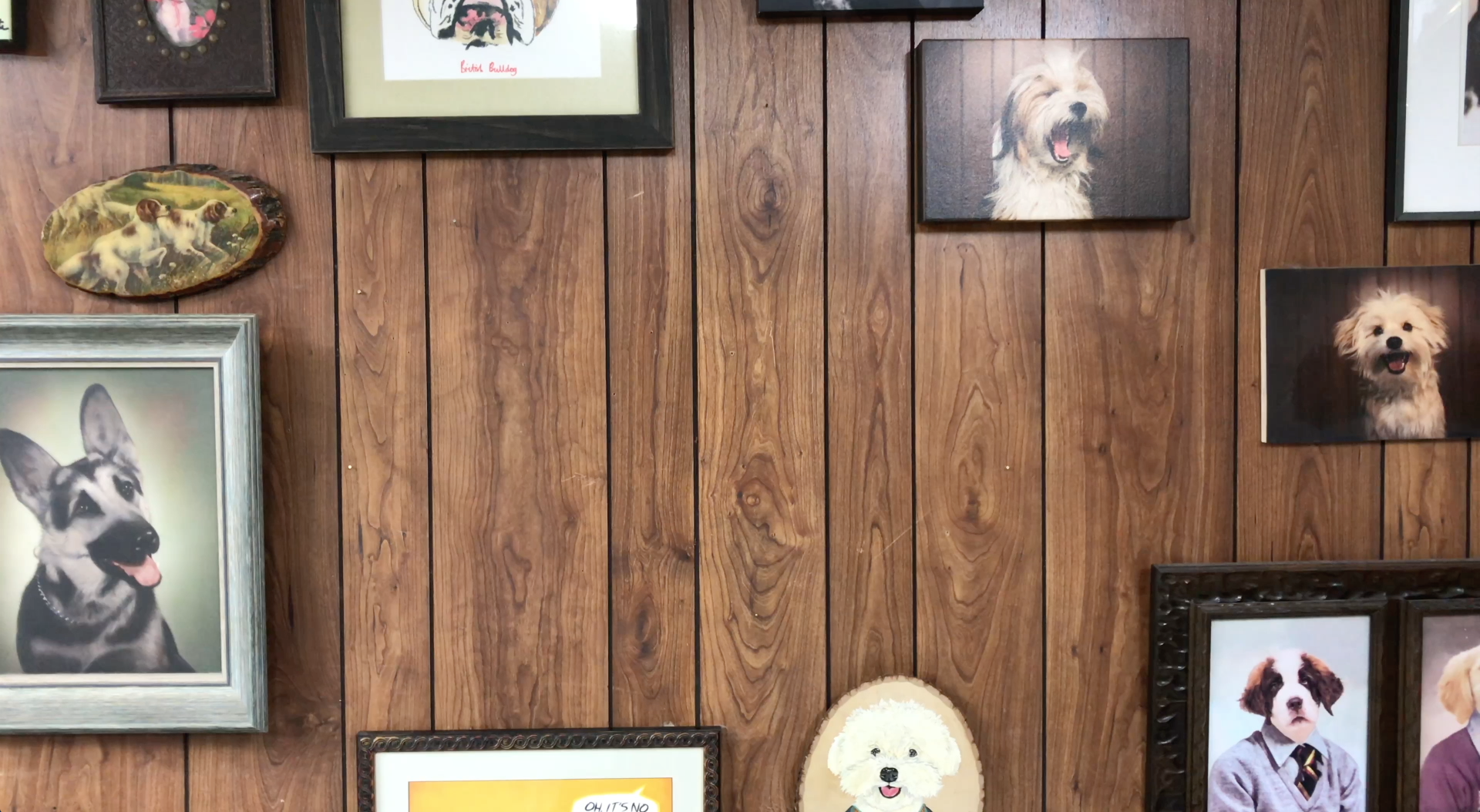 Pups Get Red Carpet Ready With Celeb Dog Groomer Jess Rona: Video | Us ...