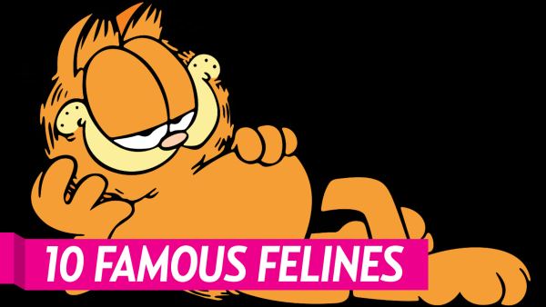 10 Famous Felines