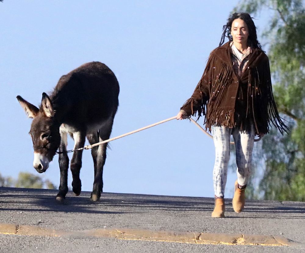 Lisa Bonet donkey