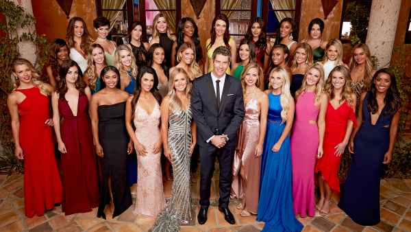 arie-the-bachelor