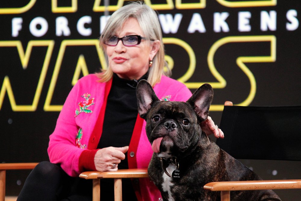 Carrie Fisher and Gary Fisher