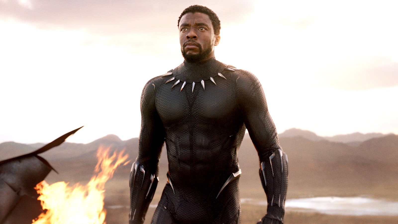 Chadwick Boseman as the Black Panther