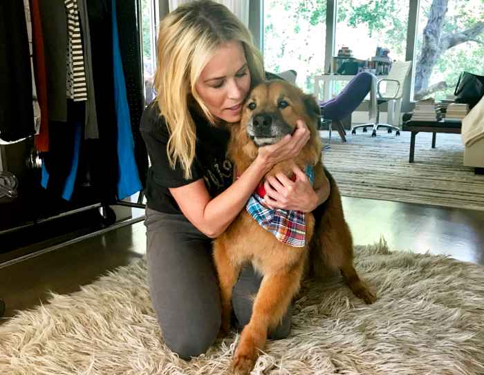 Chelsea Handler’s dog Chuck