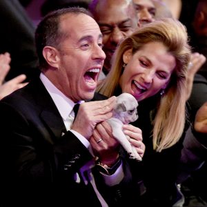 Jerry-Seinfeld-puppy