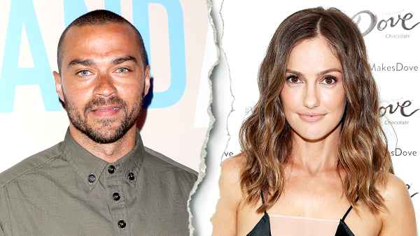 Jesse Williams and Minka Kelly split