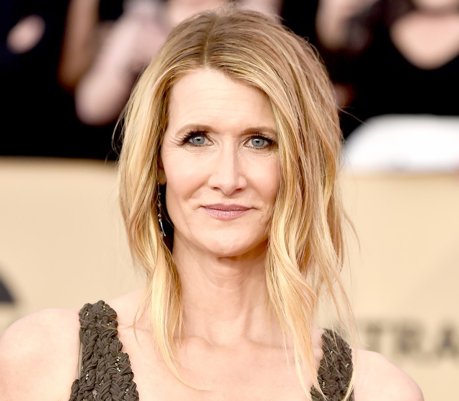 Laura Dern Supports Lipstick Lobby With Instagram Post