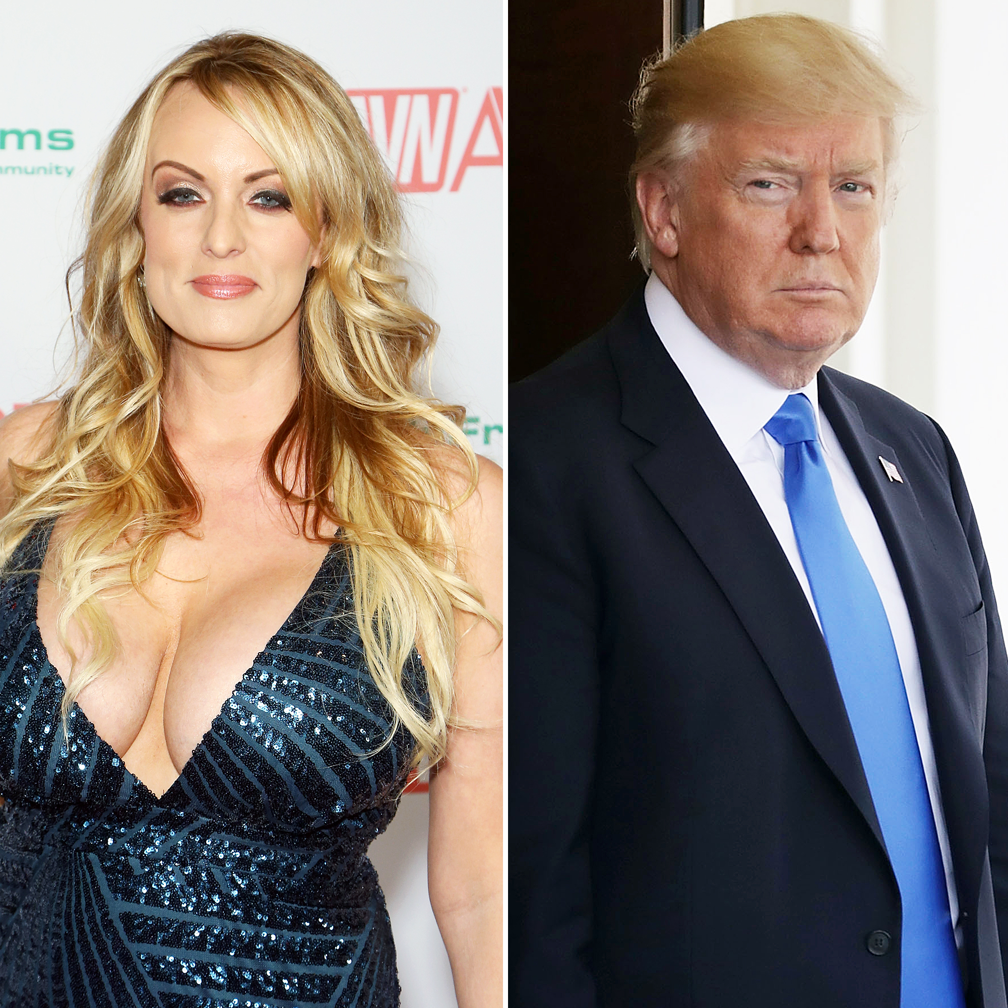 Porn Star Stormy Daniels Denies Donald Trump Affair picture