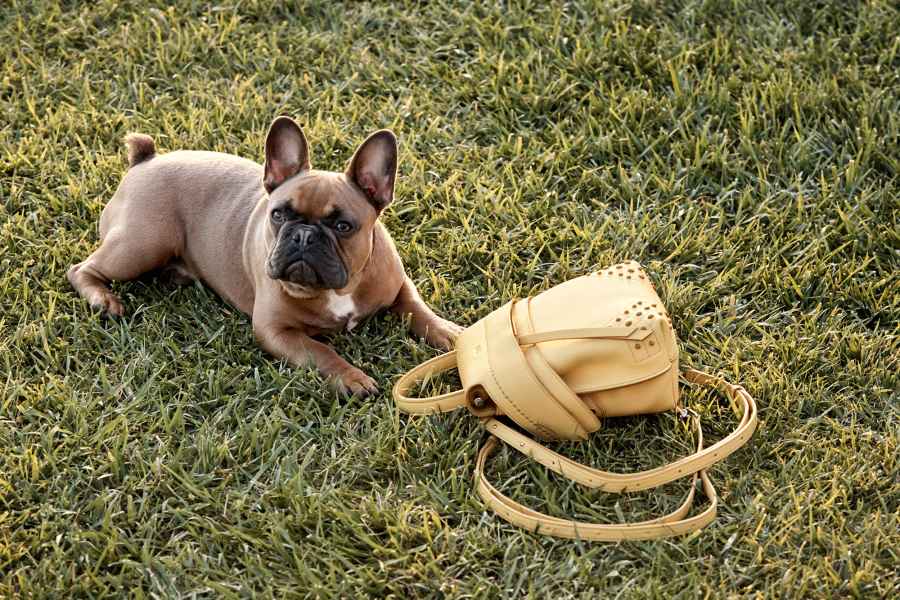 Tod's