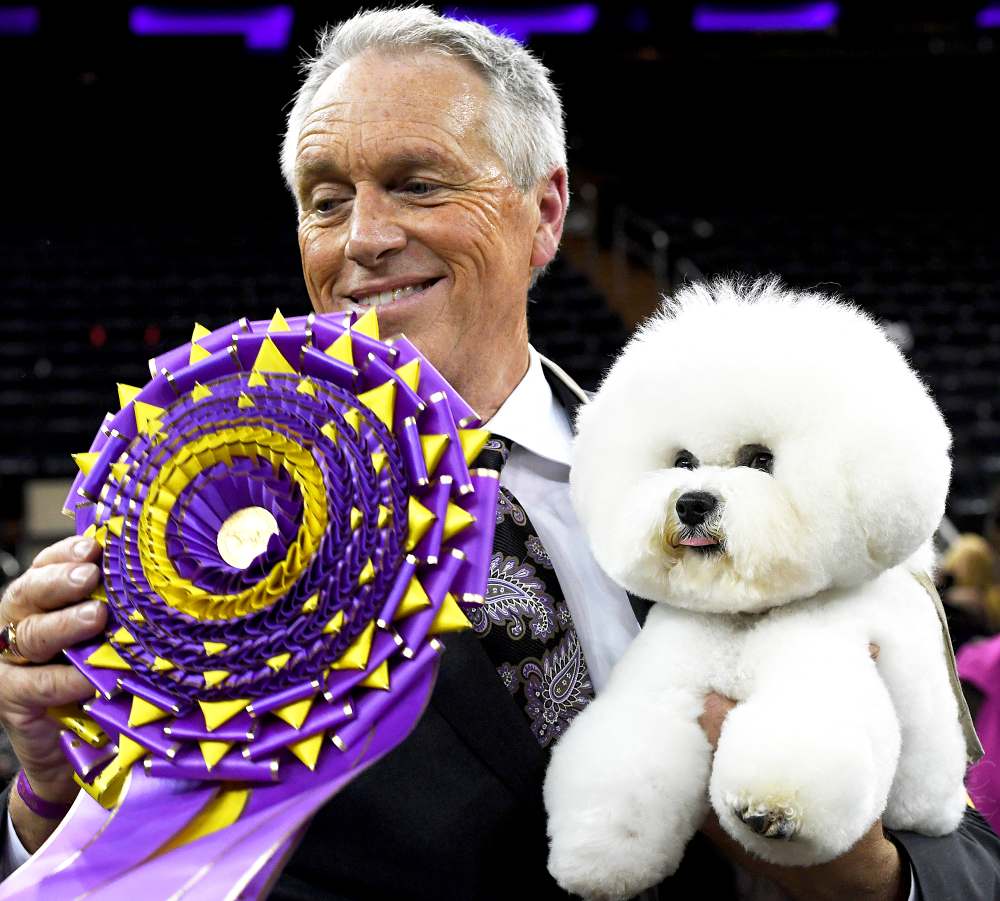 Flynn the Bichon Frise, with handler Bill McFadden, poses after winning "Best in Show" at the Westminster Kennel Club 142nd Annual Dog Show in Madison Square Garden in New York February 13, 2018.