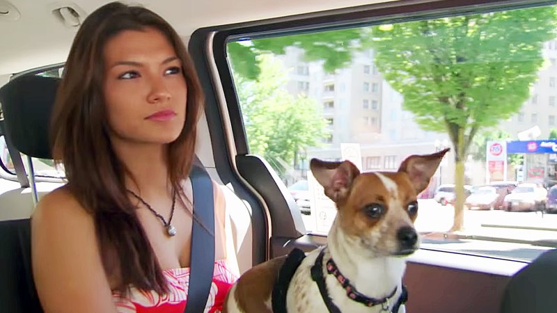 Life Isn't 'Ruff' for Reality TV Stars’ Most Popular Pets