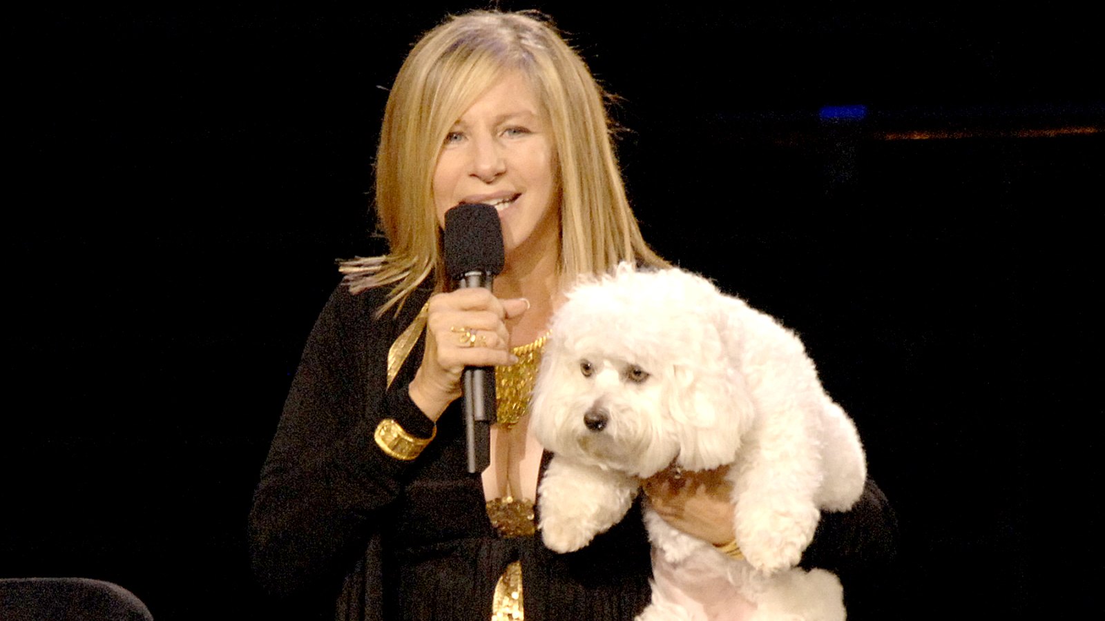 Barbra-Streisand-and-sammie clone