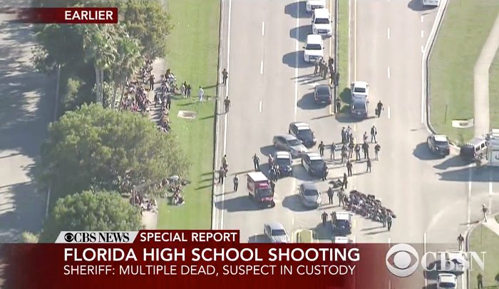 ‘Numerous Fatalities,’ Suspect in Custody in Florida School Shooting ...